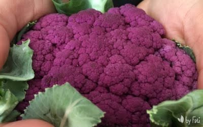 Puré de coliflor morada sin ser morado
