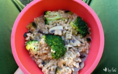 Risotto de verduras autocaravanero