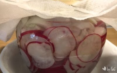 PICKLES DE RABANITO Y CEBOLLETA «PROBANDO PROBANDO»
